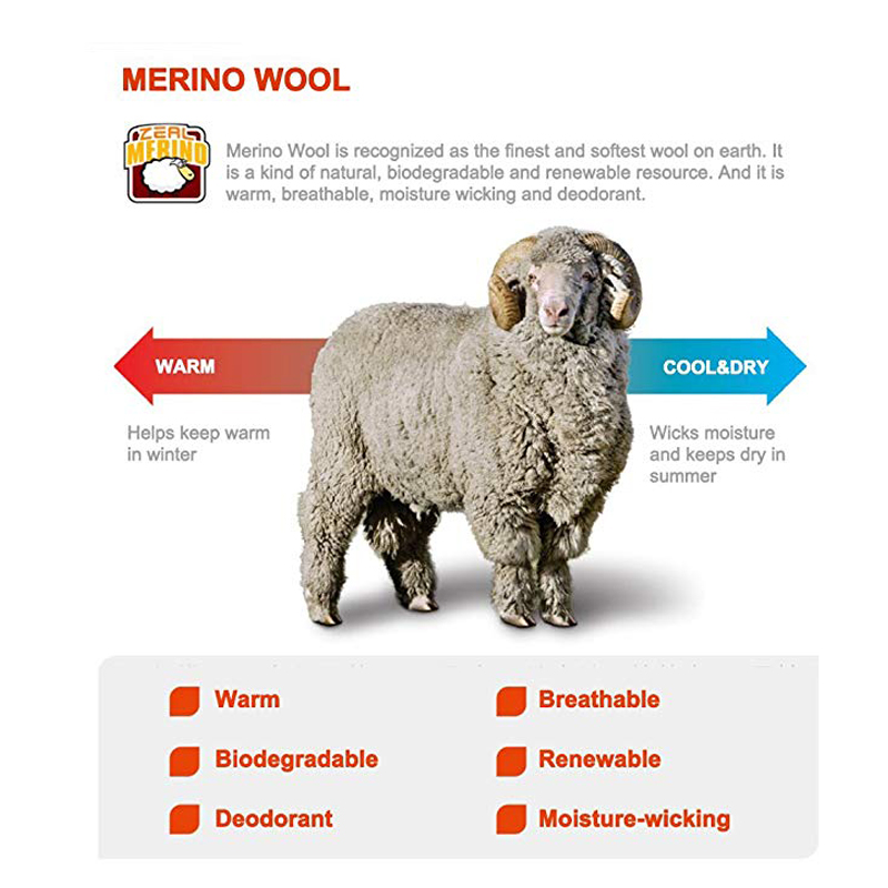 ZEALWOOD Hiking Trekking Men's - Wool Hiking Sock のレビューと価格