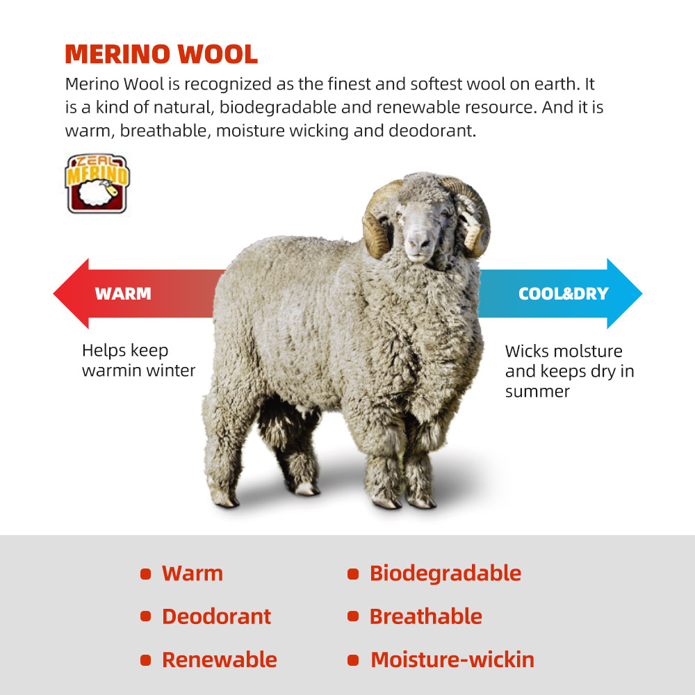 ZEALWOOD Merino Wool Running S - Wool Hiking Sock のレビューと価格